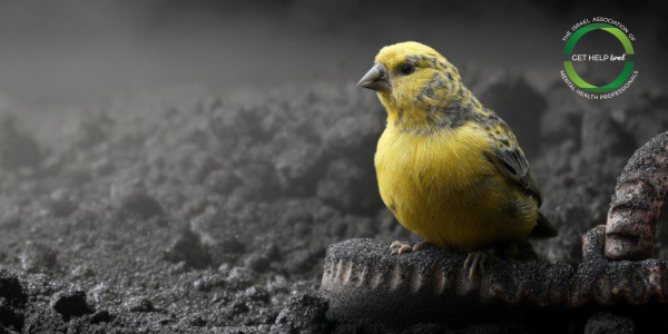 Canary in the Coal Mine